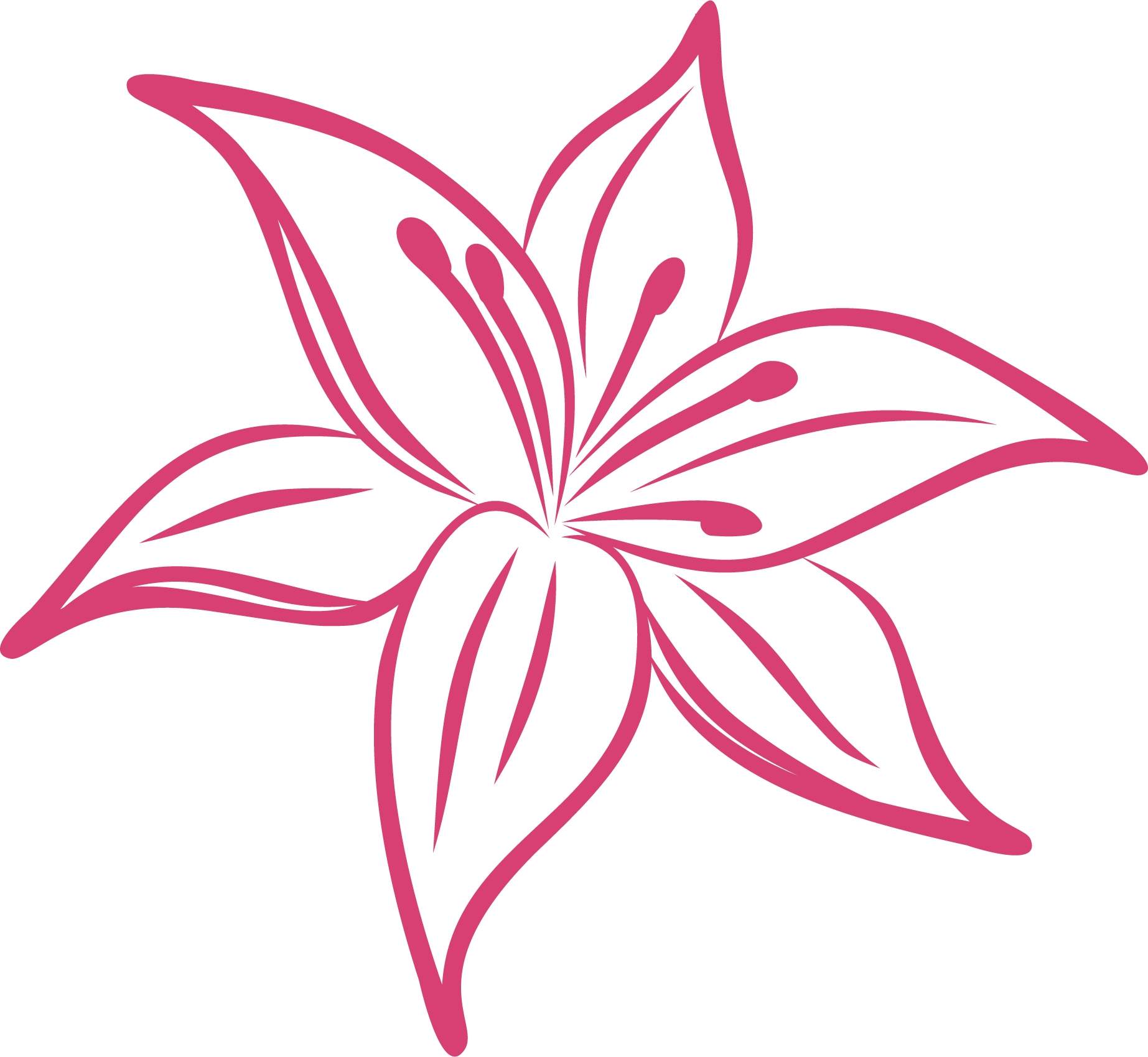 Lily